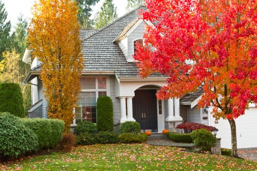 Fall Roof Replacement